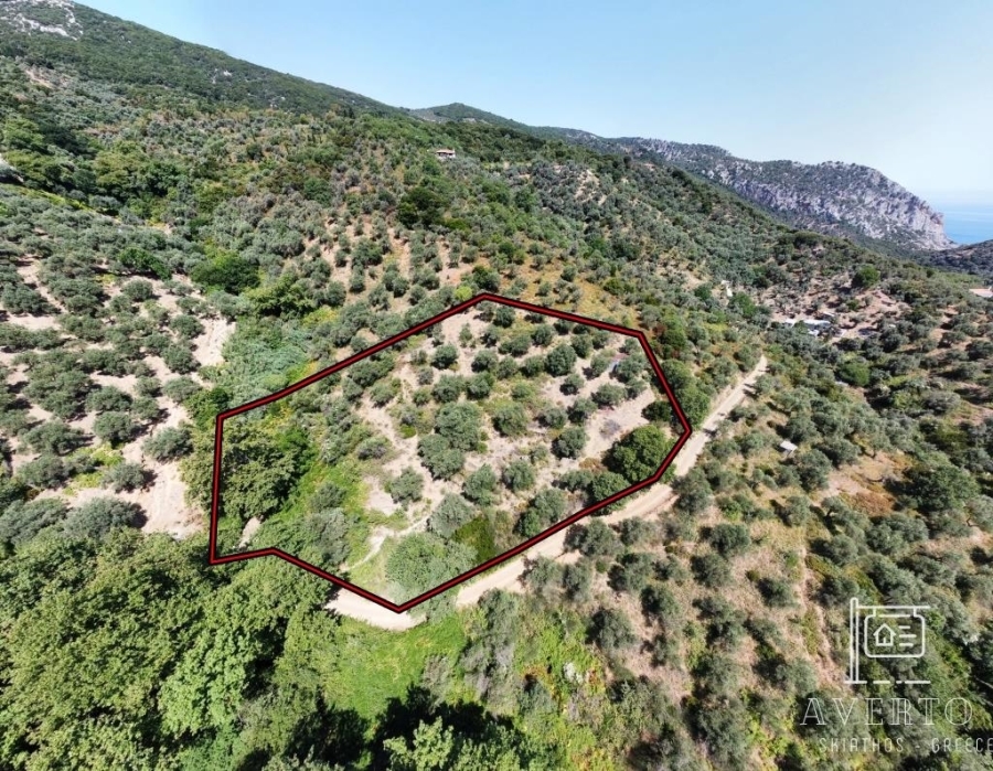 (For Sale) Land Agricultural Land  || Magnisia/Sporades-Skiathos - 5.827 Sq.m, 215.000€ 