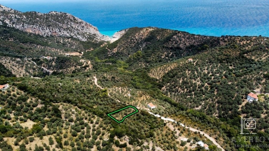 (For Sale) Land Agricultural Land  || Magnisia/Sporades-Skiathos - 1.818 Sq.m, 30.000€ 