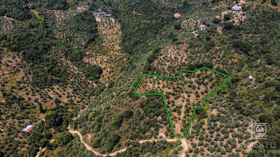 (For Sale) Land Agricultural Land  || Magnisia/Sporades-Skiathos - 10.565 Sq.m, 150.000€ 