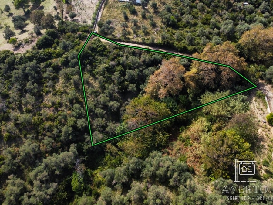 (For Sale) Land Agricultural Land  || Magnisia/Sporades-Skiathos - 2.047 Sq.m, 30.000€ 