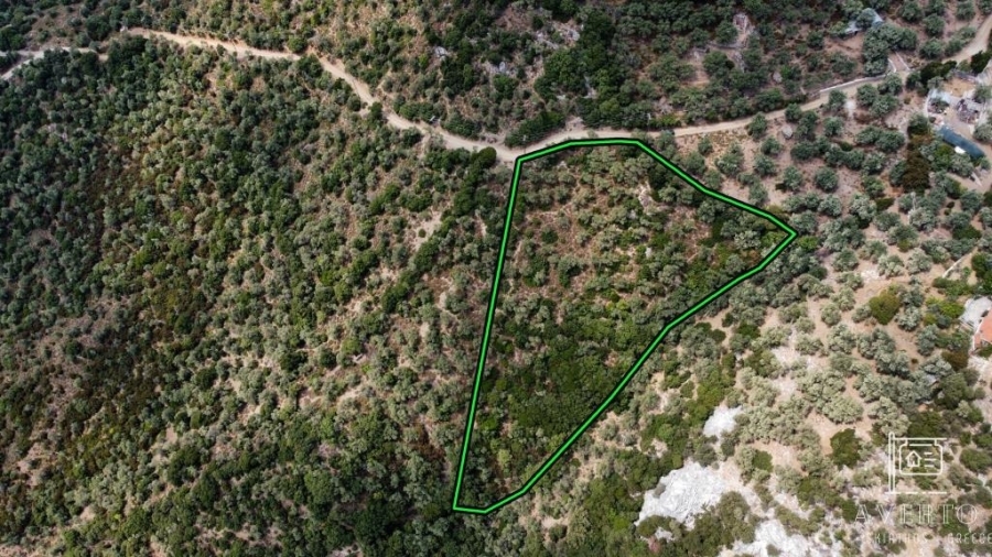 (For Sale) Land Agricultural Land  || Magnisia/Sporades-Skiathos - 5.857 Sq.m, 40.000€ 