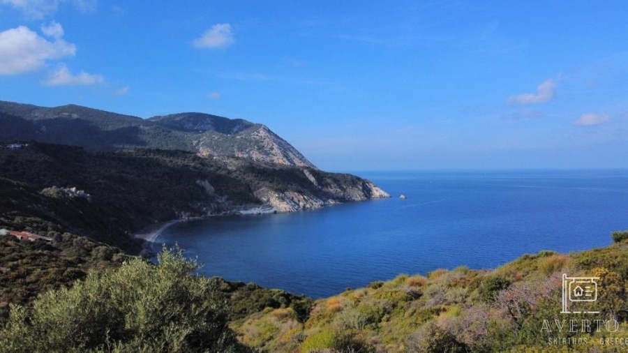 (For Sale) Land Agricultural Land  || Magnisia/Sporades-Skiathos - 7.443 Sq.m, 330.000€ 